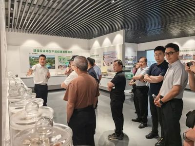 携手并进，共绘绿色未来——记丽水市生态文明促进会专家团莅临天造环保调研指导
