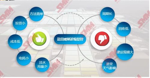 盐湖锂资源 禀赋优势、提锂技术趋势与资源再生利用