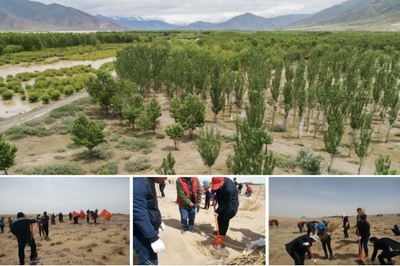 驰骋戈壁，守护生灵 奇瑞汽车科考公益行动与资源再生技术研发的双重使命